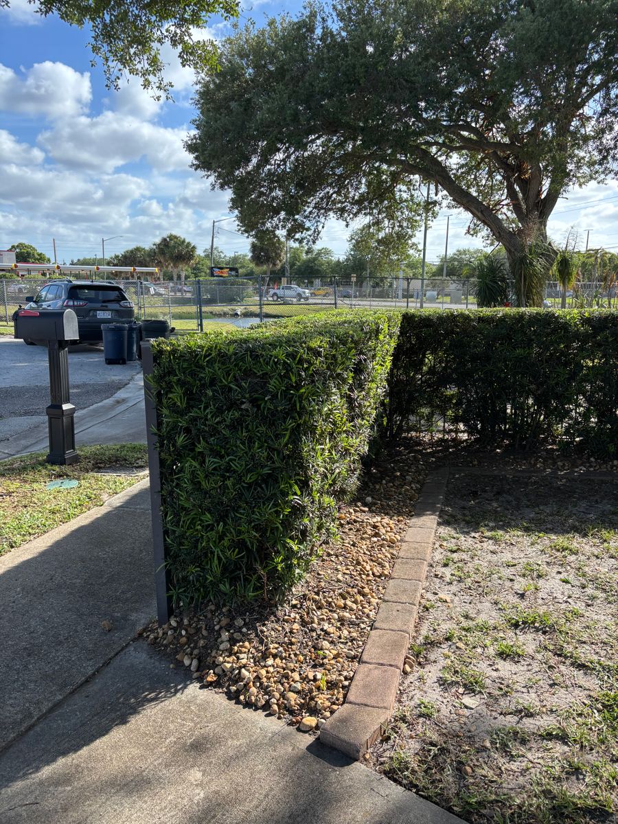 Lawn Maintenance for Space Coast Property Maintenance and Management LLC in Melbourne, FL