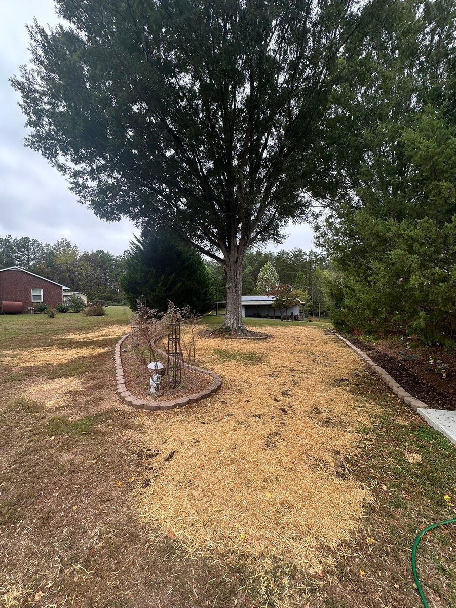 Mowing for Queen’s Landscaping in Kernersville, NC