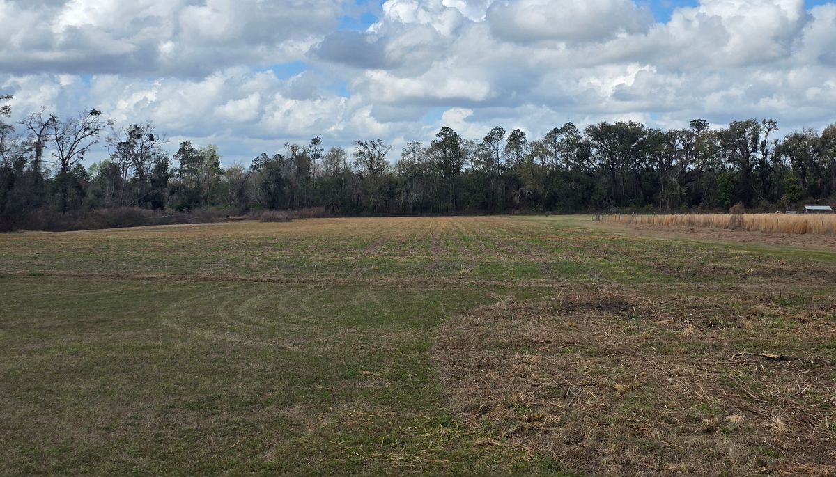 Land Clearing for Giles Land Management, LLC in Hahira, GA