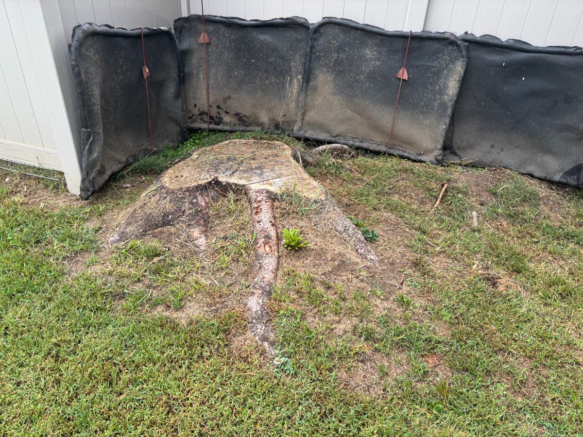 Stump Removal for Conrad's Stump Removal in Columbus, IN