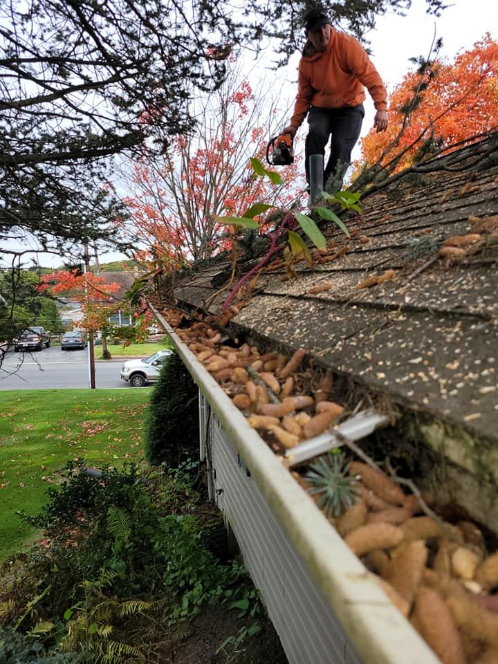 Fall Clean Up for Jonathan A. Henne Property Services. in Hamburg, PA