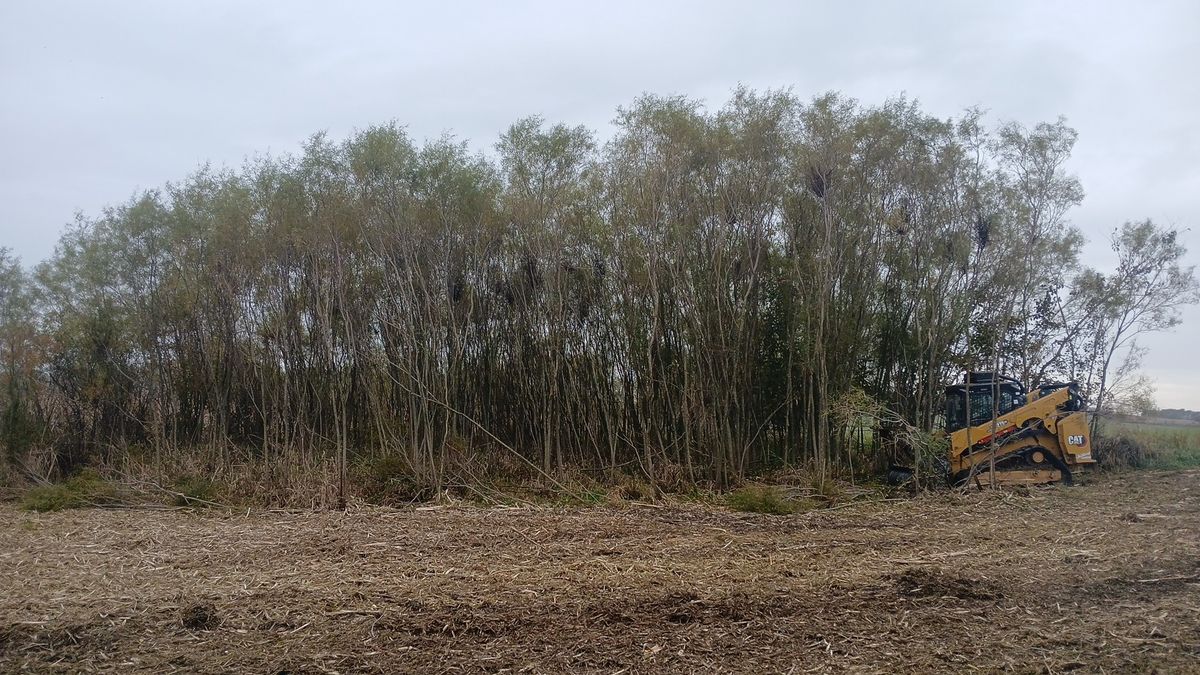 Land Clearing for Willing Trucking & Excavating in Evansville, WI