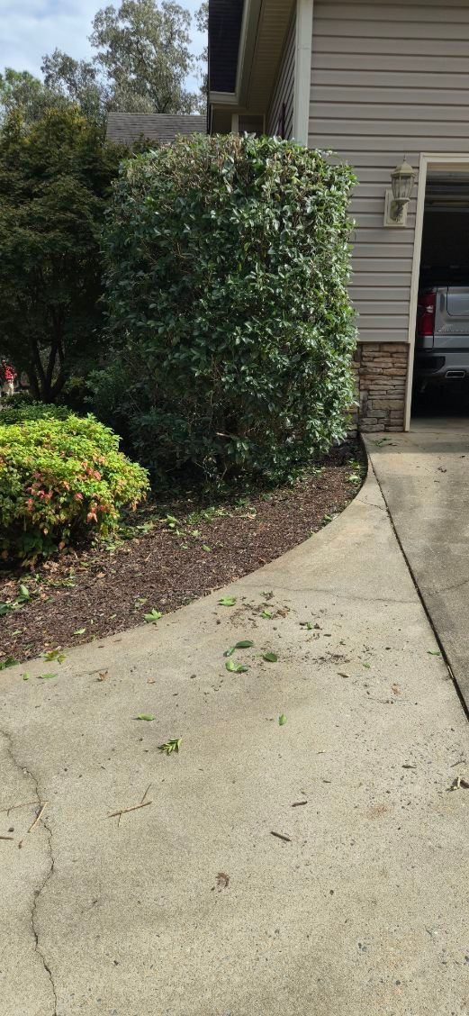 Shrub Trimming for Fresh Cut Yard & Lawn Care LLC in Forsyth, GA