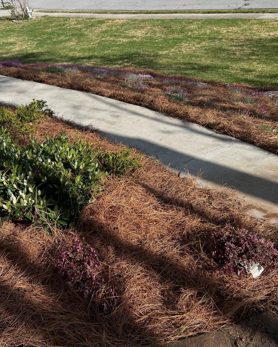 Lawn Maintenance for Amerigreen Lawn & Landscape in Atlanta, GA