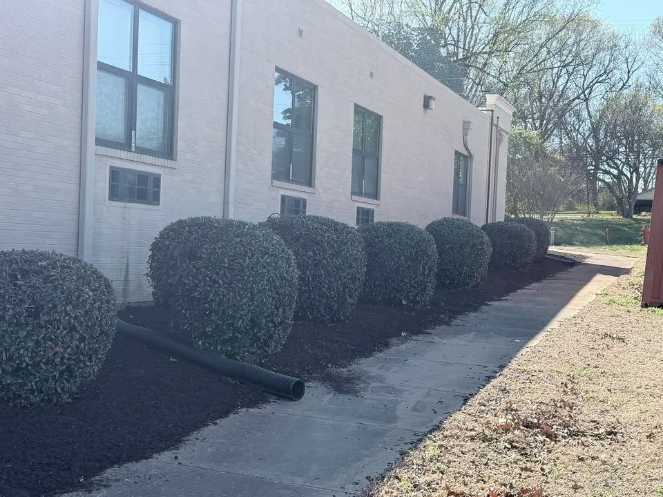 Tree & Shrub Care for Apex Lawn & Landscaping INC in Dyersburg, TN