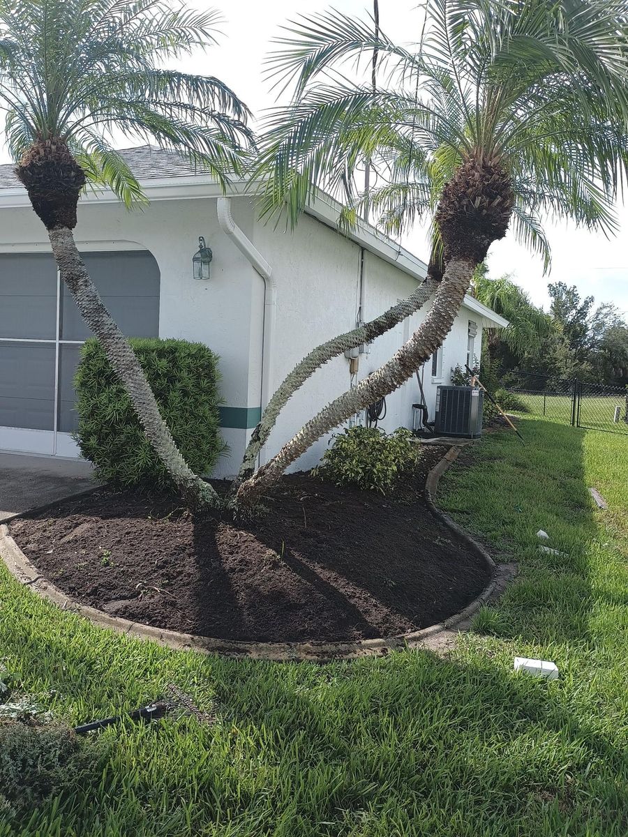 Flowerbed Installation and Maintenance for Unity Maintenance and More LLC in Englewood, FL
