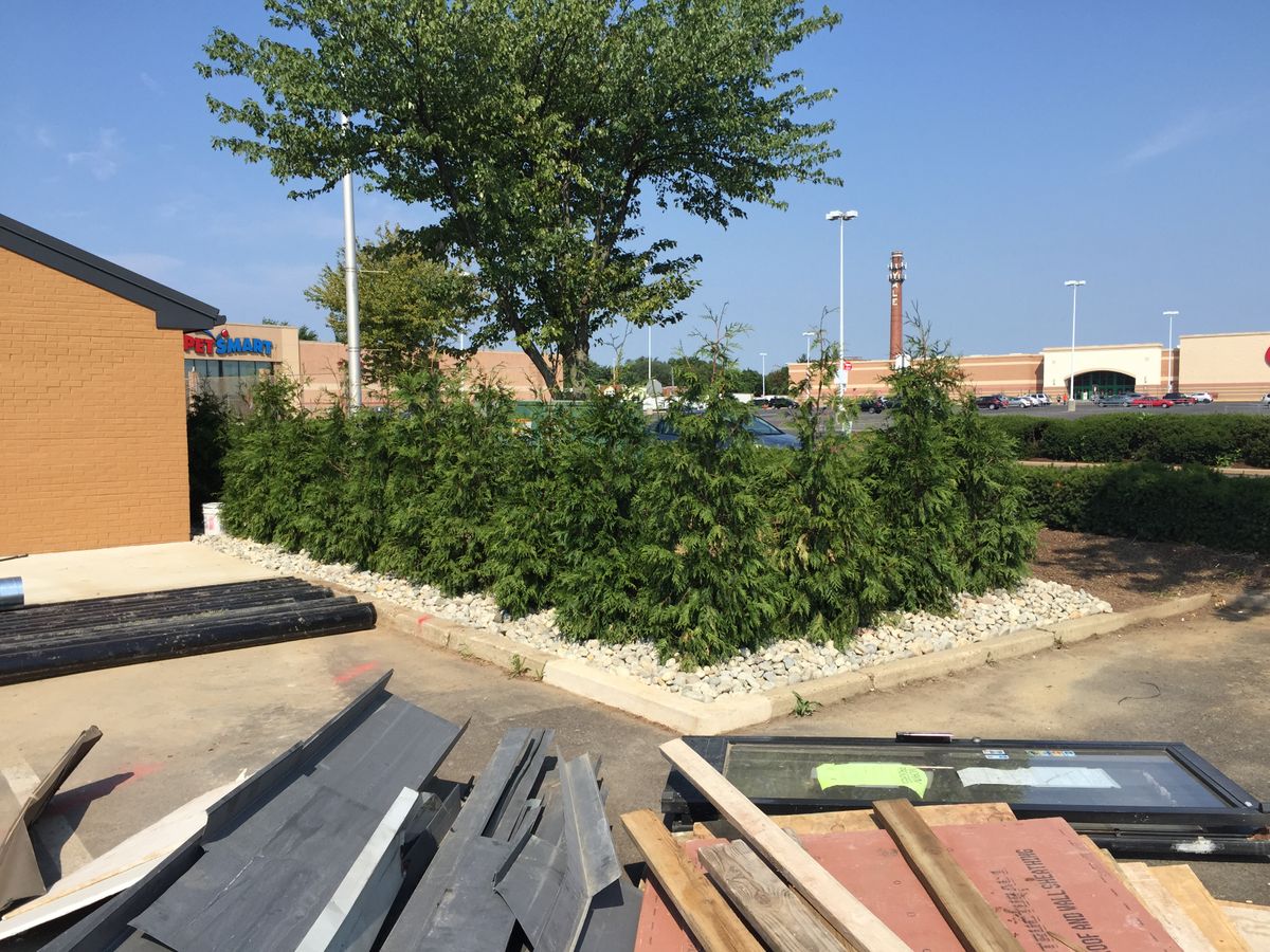 Weeding for The FAAR Group INC in Chalfont, PA