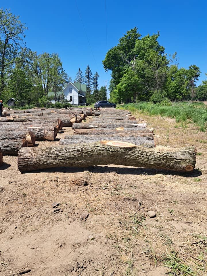 Timber Management for God's Country Timber Management in Hillsdale, MI