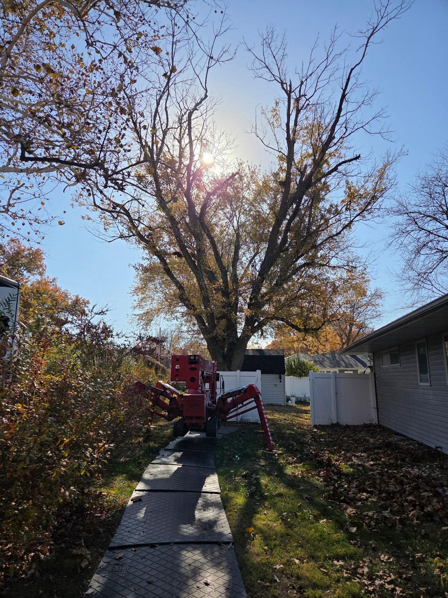 Tree Trimming for Lawn Ranger Yard And Tree Service LLC in Ottumwa, IA