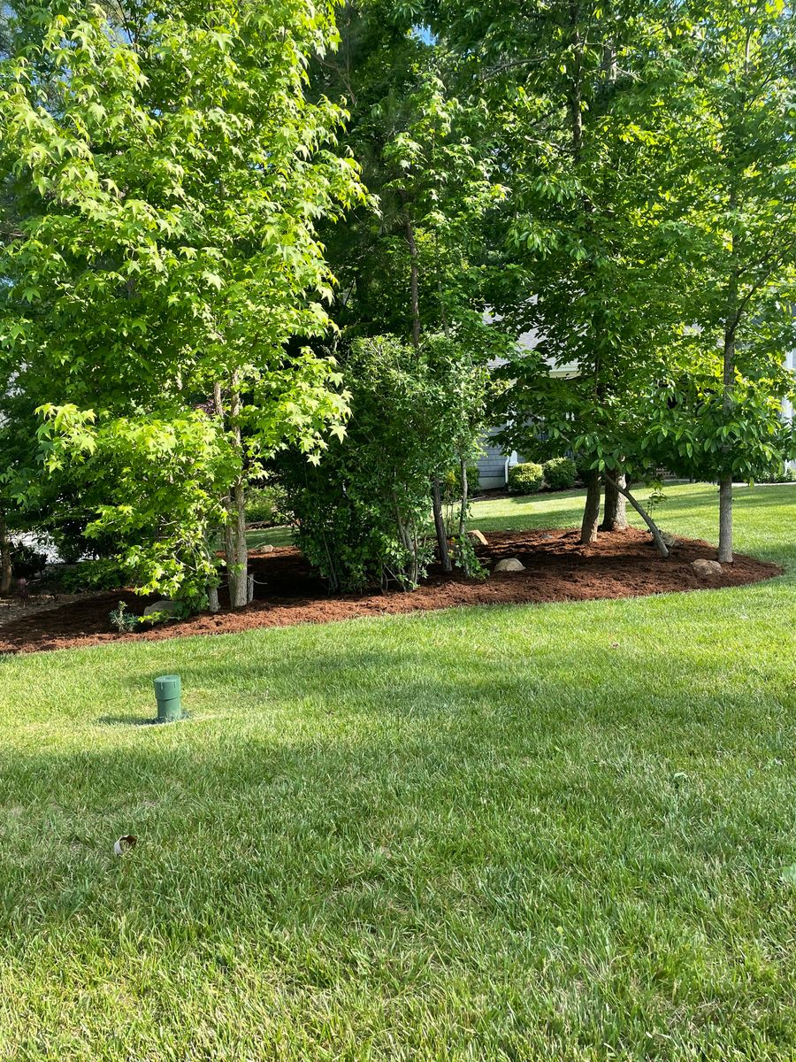 Landscaping Design for Chavez Landscaping in Pittsboro, NC