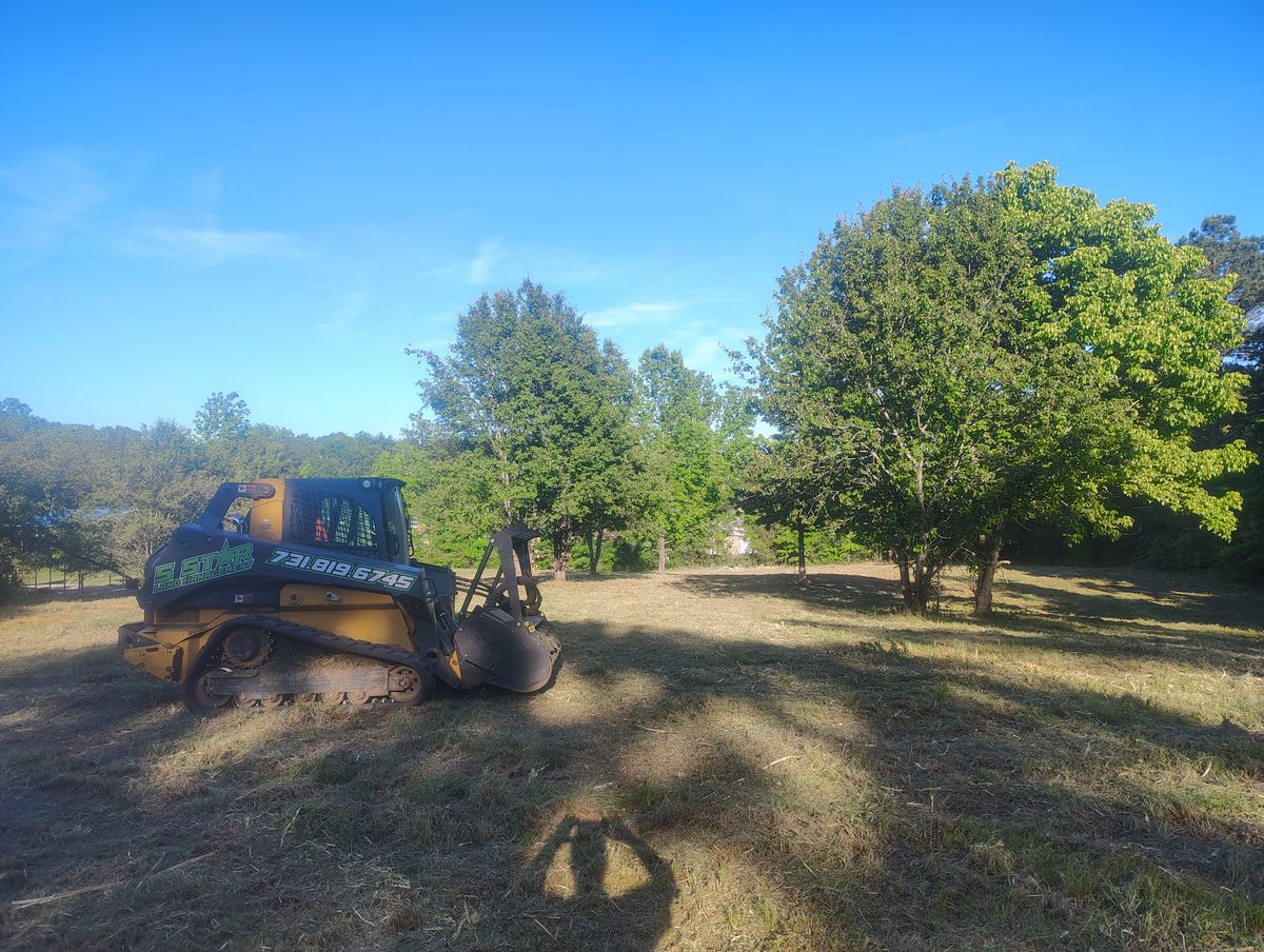 Forestry Mulching for 5 Star Land Management in Beech Bluff, TN