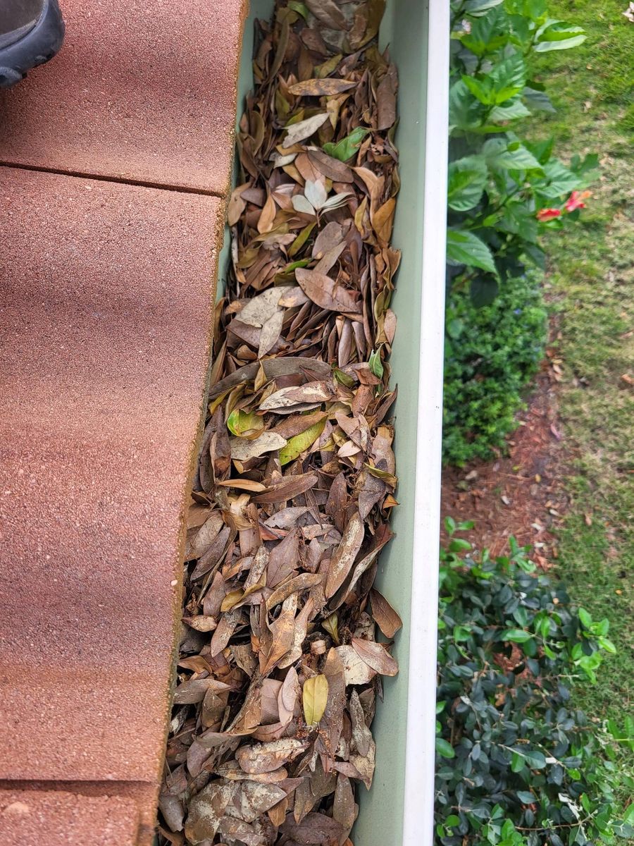 Gutter Cleaning for Sam's French Drains and Landscape in Orlando, Florida