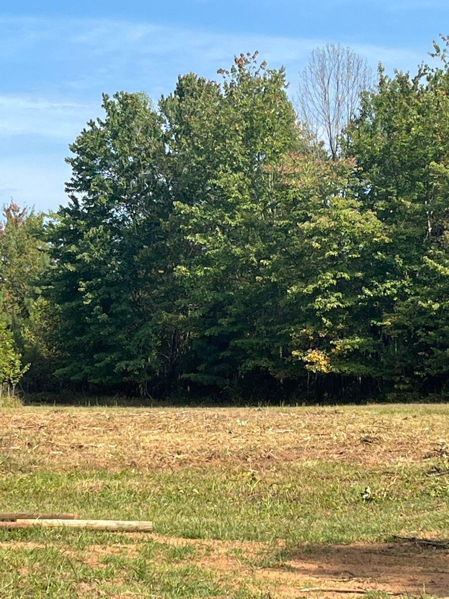 Brush cutting/clearing for Southside Land Management in Gretna, VA