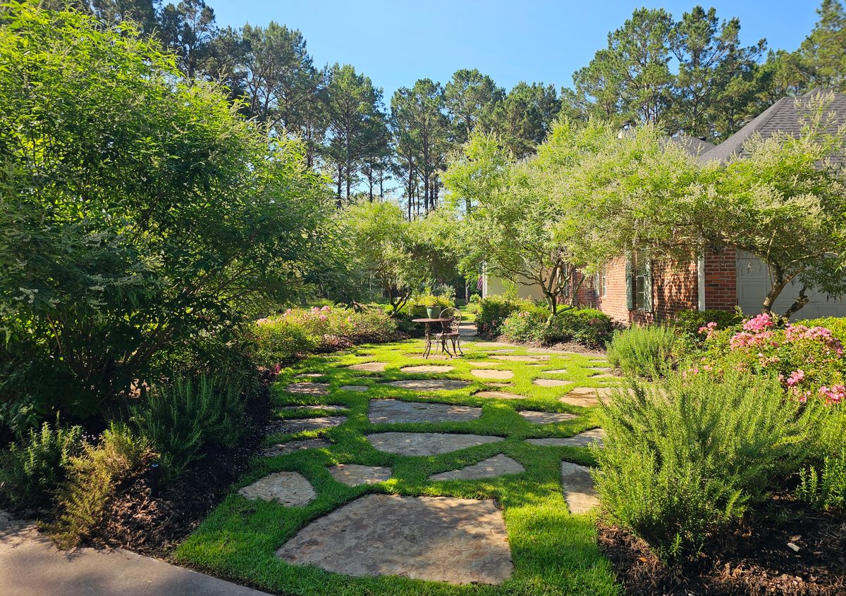 Shrub Trimming for Bruno's Professional Lawn's & Landscape in Beaumont, TX