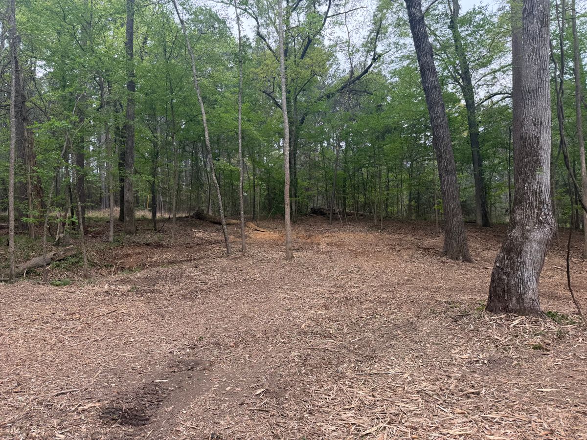 Land Clearing for 903 Mulching in East Mountain, TX