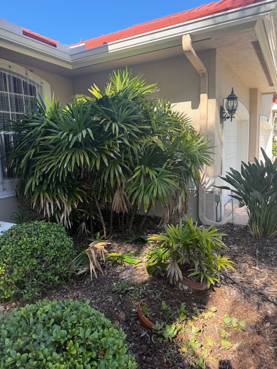 Landscape Installation for Epic Vine Design in Melbourne, FL
