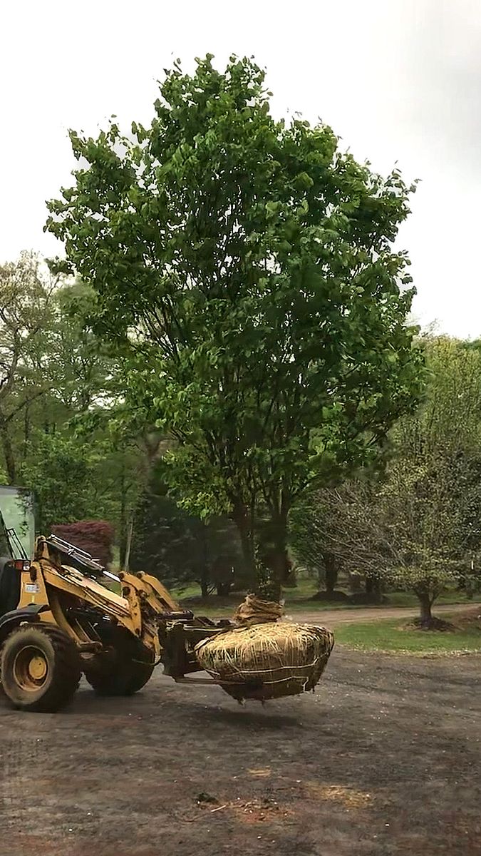 Green Giant Nursery for  in Colts Neck, NJ