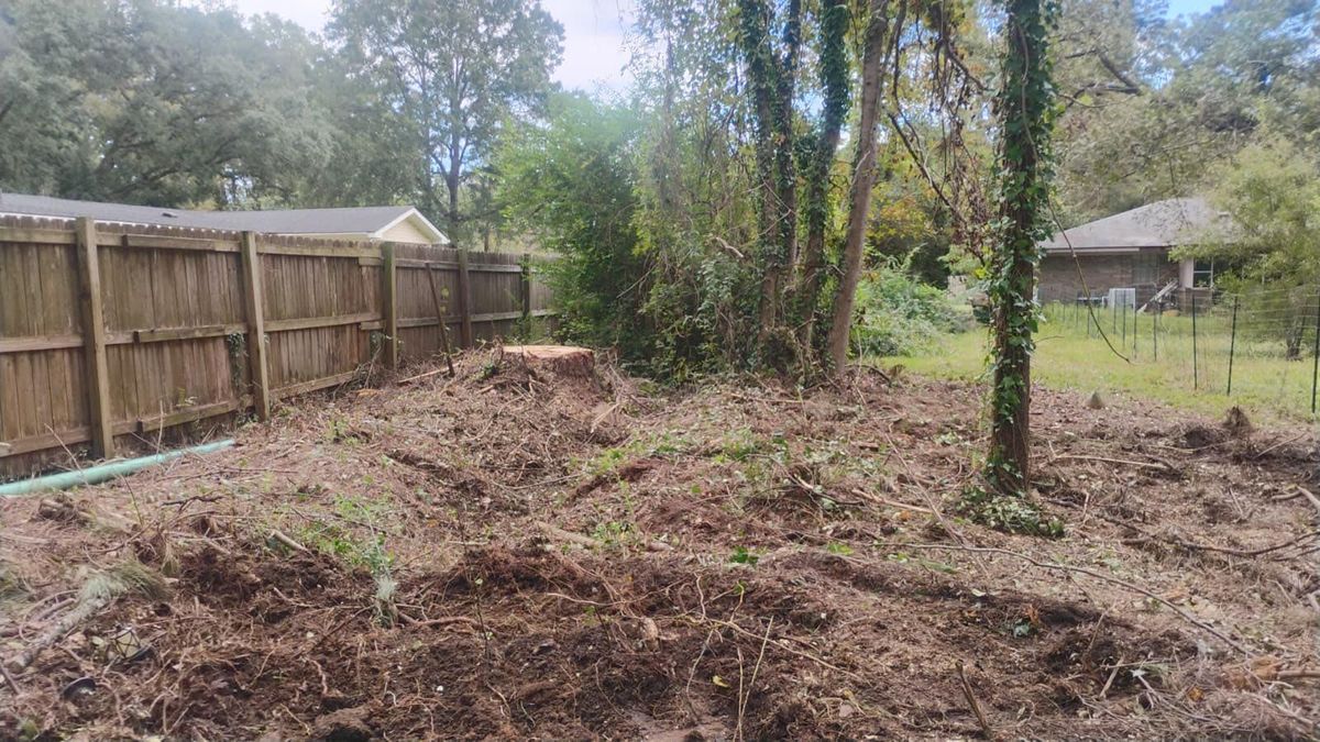 Tree Removal for Hawkins Tree Service & Land Management in Richmond Hill, GA