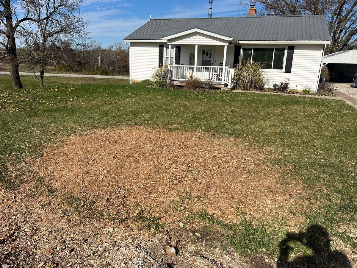 Stump Grinding for Baker Professional Services LLC in Shelbina, MO