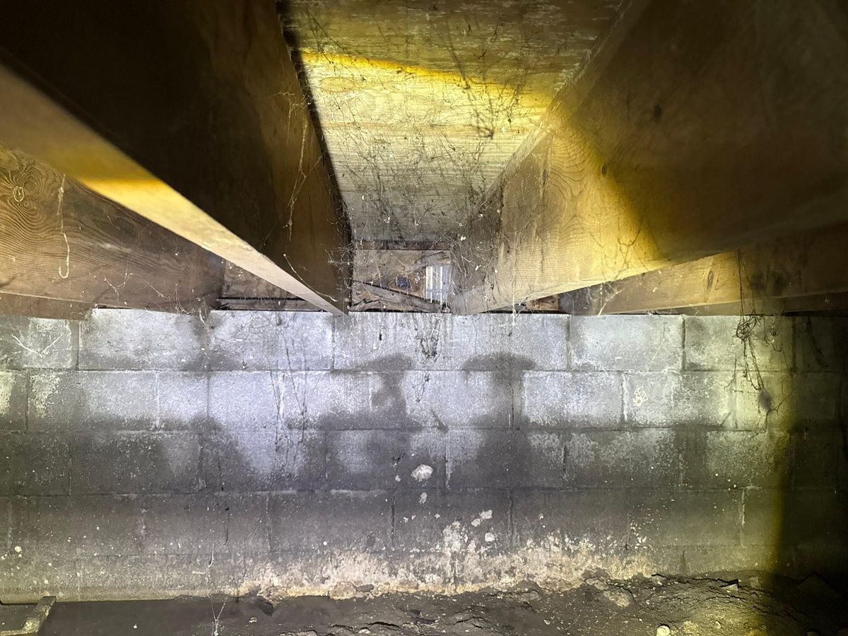 Crawlspace Encapsulation for The Guys Landscaping & Foundation Repairs LLC in Trenton, MI