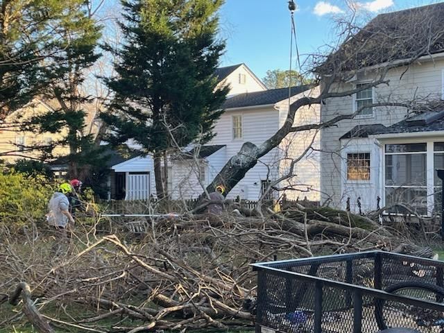 Emergency services and Storm Damage for Smith Tree Experts in Palmyra, VA