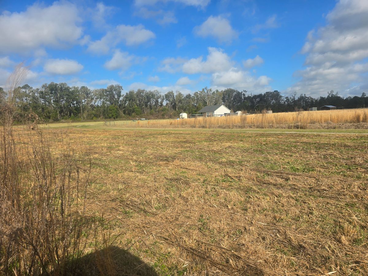 Land Clearing for Giles Land Management, LLC in Hahira, GA