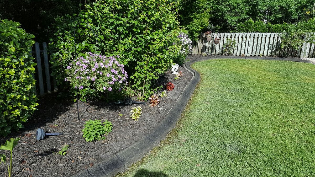 Concrete Edging for Professional Edge in Deep Run, NC