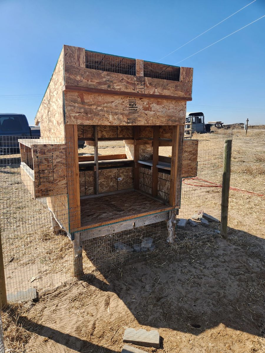 Custom Chicken Coops for M&N Fencing in Northeast Colorado, CO