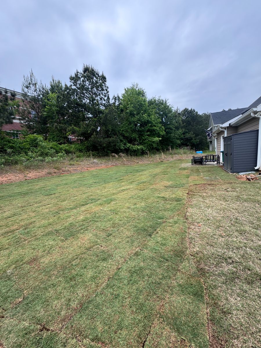 Sod Installation for Deeply Rooted Lawns – Hydroseeding & Sod Installation Services in Winder, GA