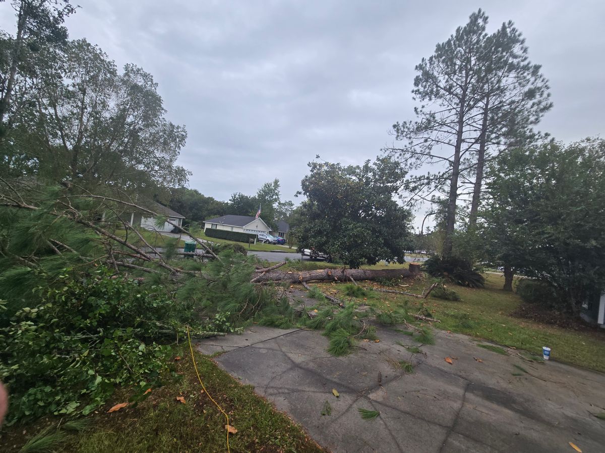 Tree Trimming for Southern Shade Property Service in Ray City, GA