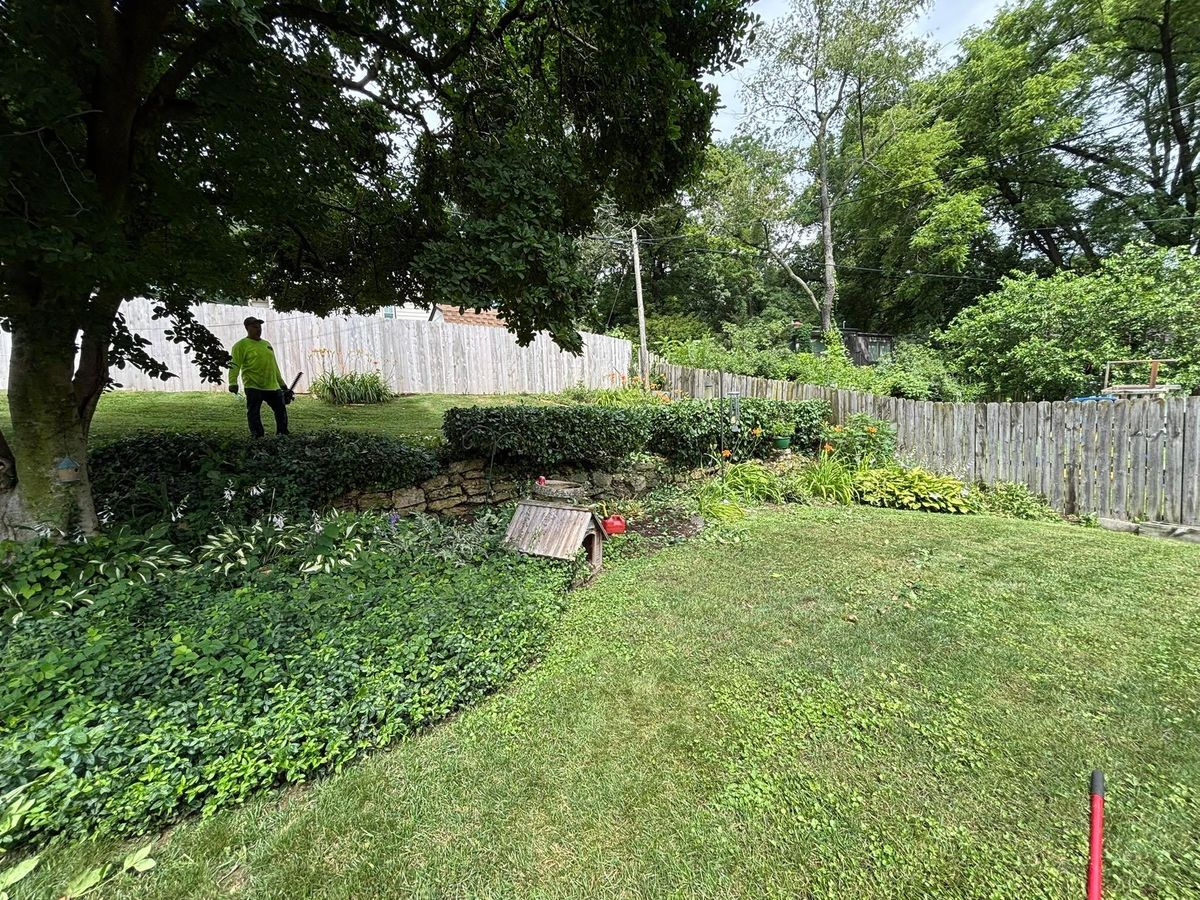 Shrub Trimming for Cena Landscaping in Rockford, IL