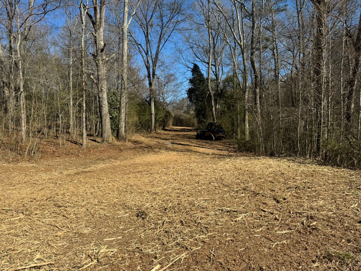 Forestry Mulching for KLNAX Enterprises Inc. in Social Circle, GA