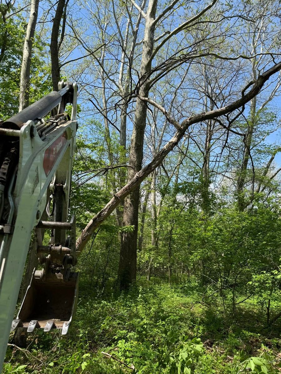 Stump Grinding for Sterlings Tree Removal in Cobleskill, New York