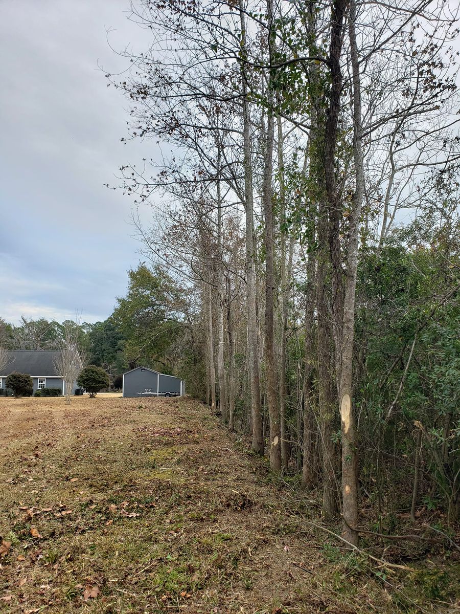 Forestry Mulching for TJ Farm and Land Management in Loris, SC