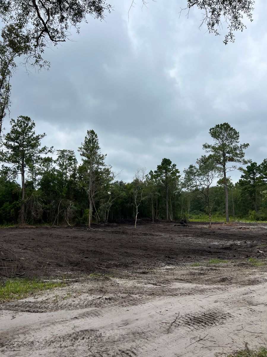 Land Clearing for Bay Hill Development in Nahunta, GA