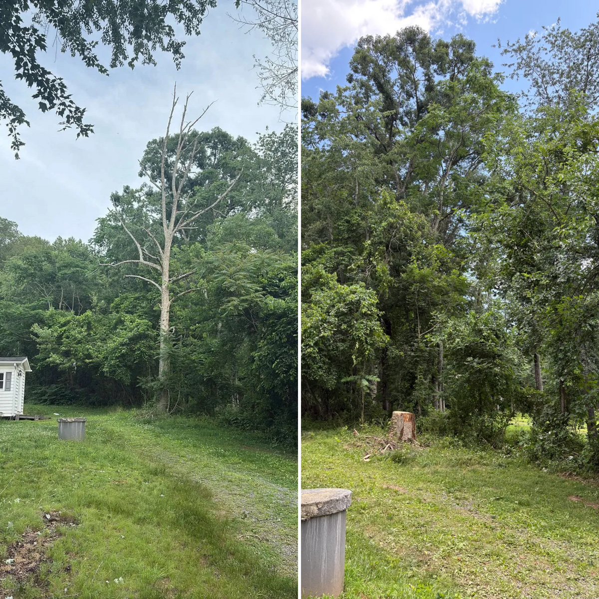 Tree Services for Mountainside Property Services LLC in Warrenton, VA