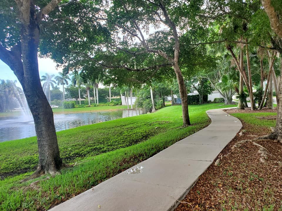 Concrete Cleaning for Zero Pressure Roof Cleaning INC in West Palm Beach, FL