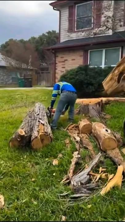 Commercial Landscaping for J and R Co. in San Antonio,  TX