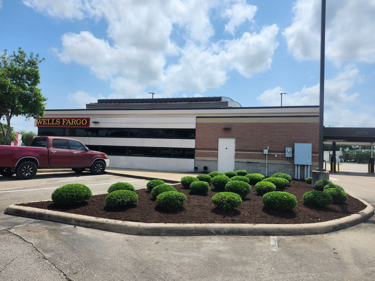 Trimming for Bonita Bay Lawn Maintenance LLC in La Porte, TX