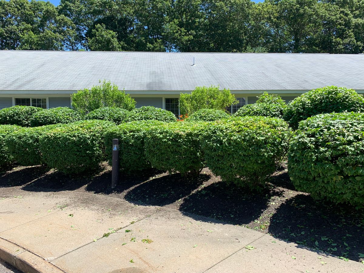 Hedge Trimming for Murray Mowing and More in Ashaway, RI