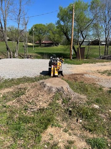 Stump Grinding for Dale's Tree Service in Springdale, AR