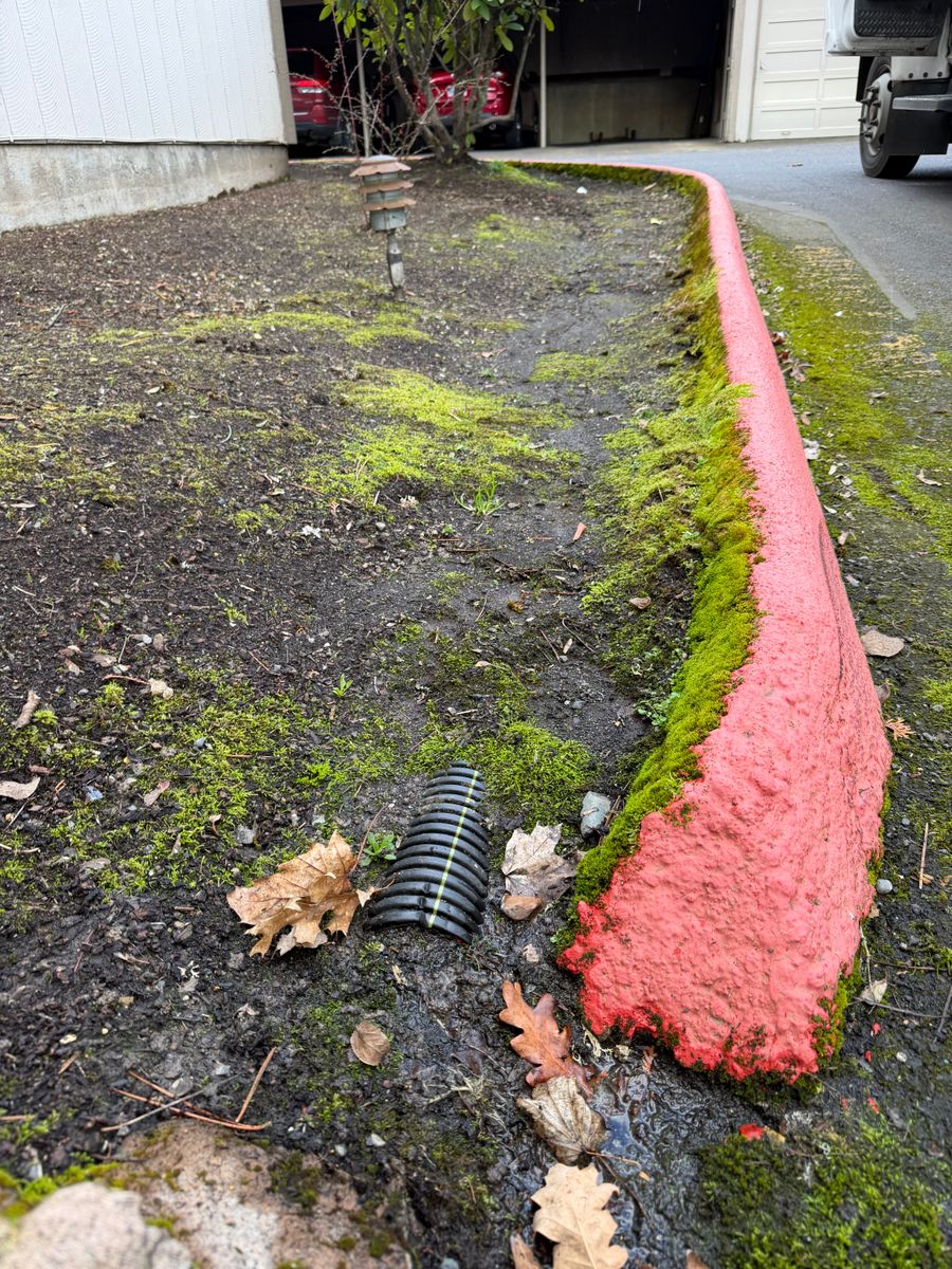 Drain Cleaning for Mountain View Services in Sandy, OR