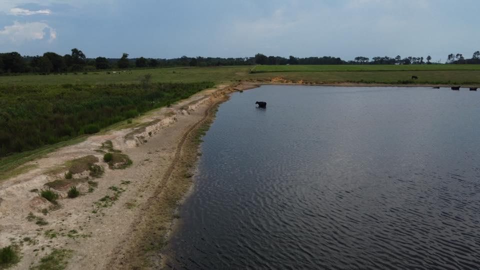 Land Clearing And Clean Up for Southeast Aquatic Land Services LLC  in Waycross, GA