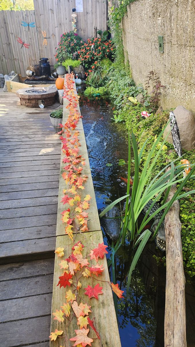 Pond Installation and Maintenance for Freeland's Water Gardens in Clarksburg, WV