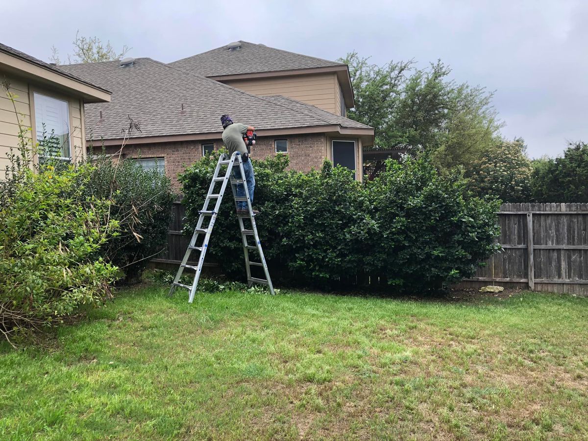 Shrub Trimming for Neighborhood Lawn Care and Tree Service  in San Antonio, TX