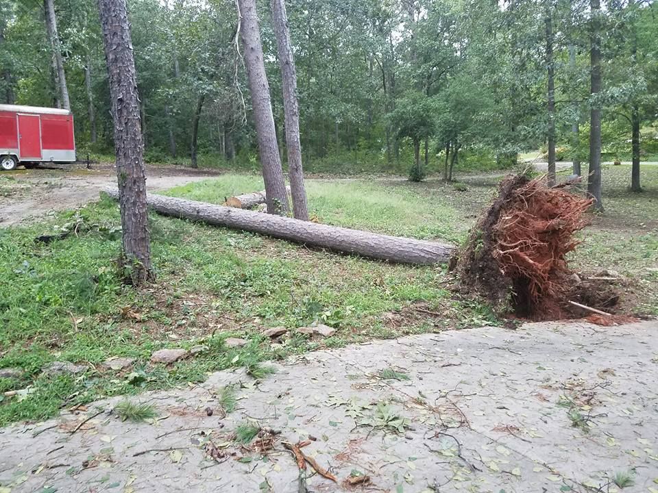 Tree removal for D&D Unlimited Landscaping in Hartwell, GA