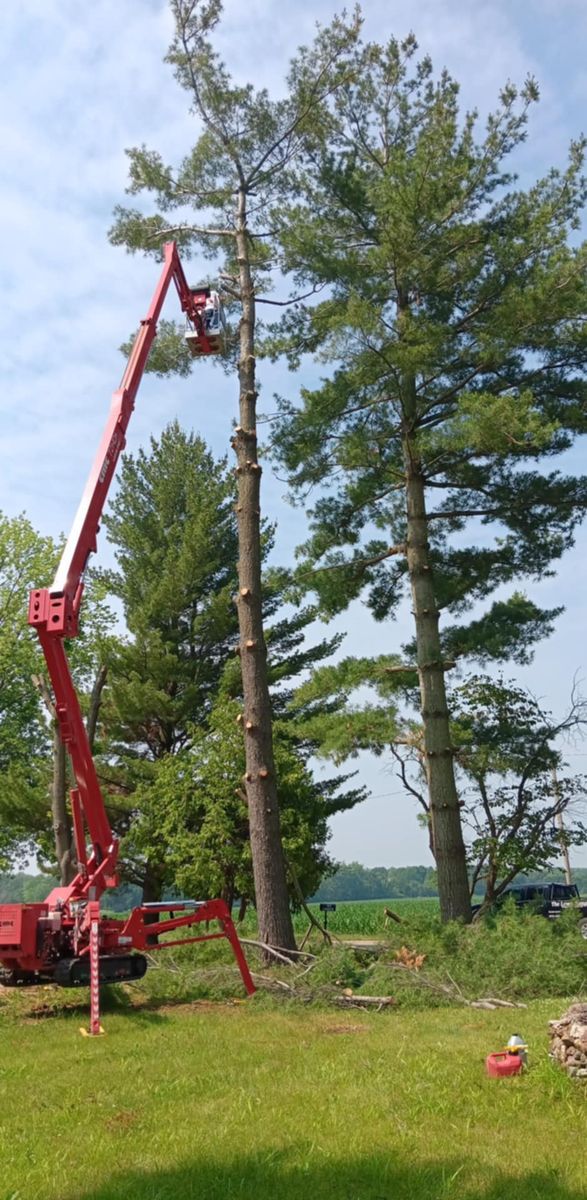 Tree Removal for Lawn Ranger Yard And Tree Service LLC in Ottumwa, IA