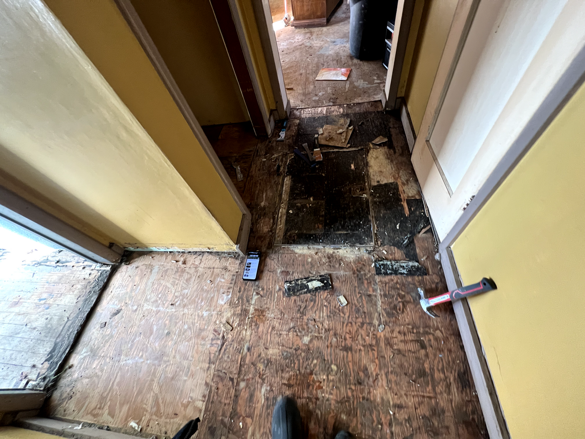 Restoration and Remediation for Team 406 Disaster Relief in Butte, MT