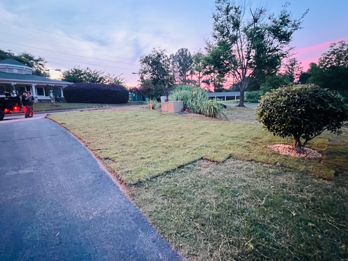 Sod insulation for LC Lawn Care & Landscaping in Canon, GA