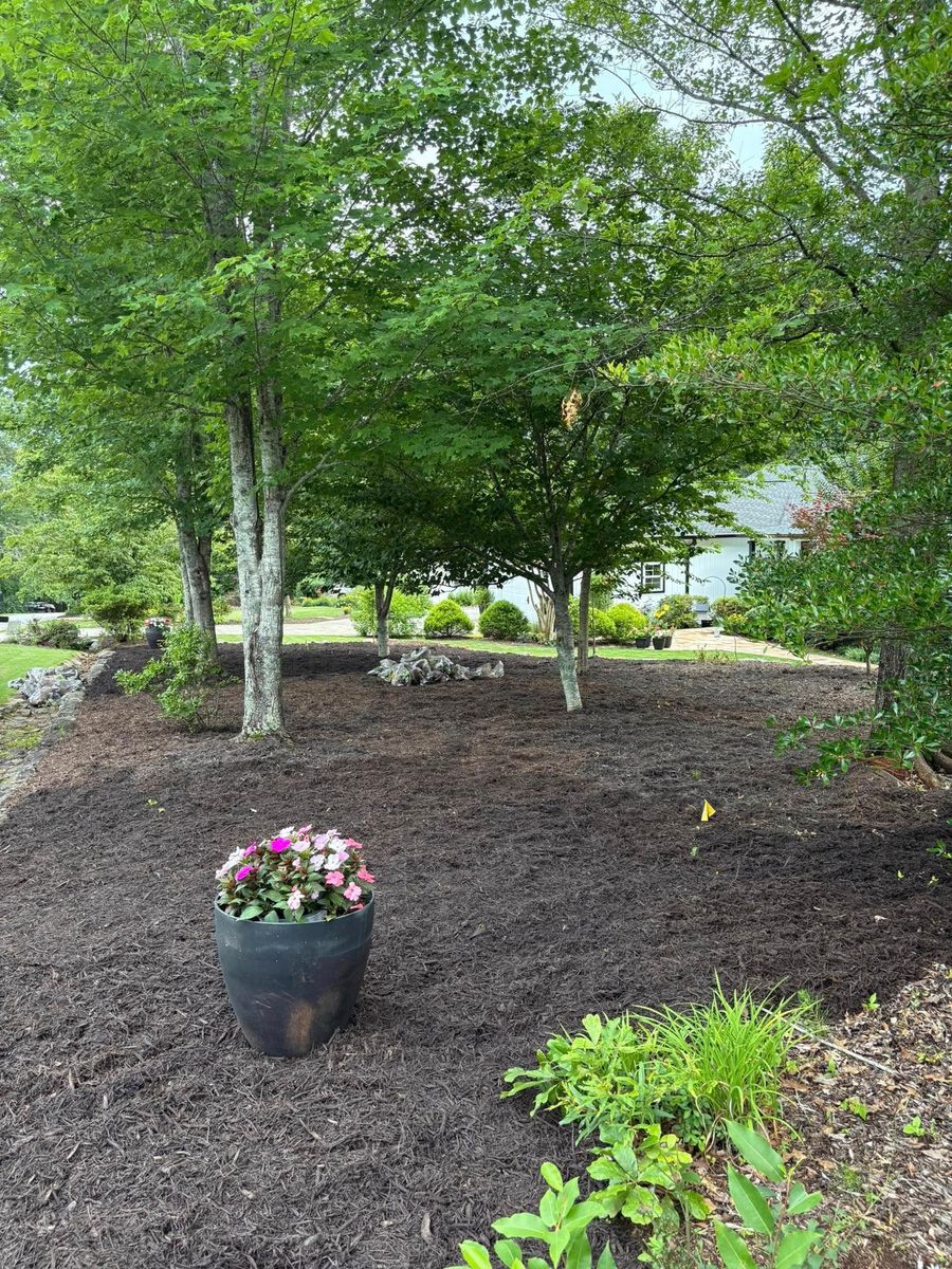 Mulch and Pinestraw Installation for Taylormade Lawn Management in Clarkesville, GA